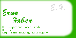 erno haber business card